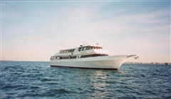 Amberjack V