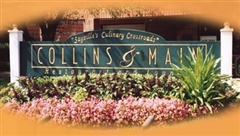 Collins & Main