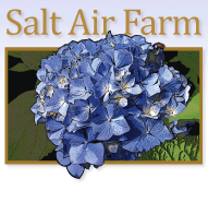 Hydrangea Farm and Gardens