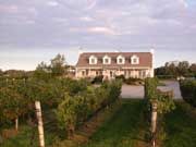 Laurel Lake Vineyards