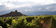 Pindar Vineyards