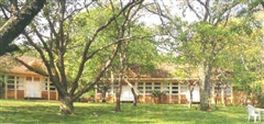 Ruschmeyer's