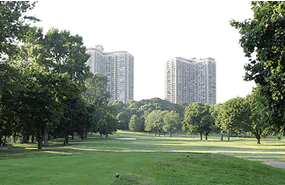 Towers on the Green