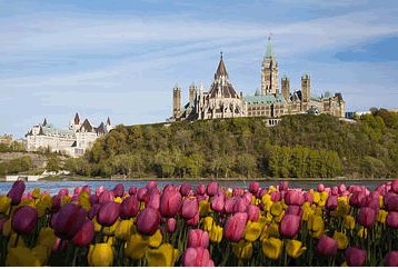 Canadian Parlimentary Buildings